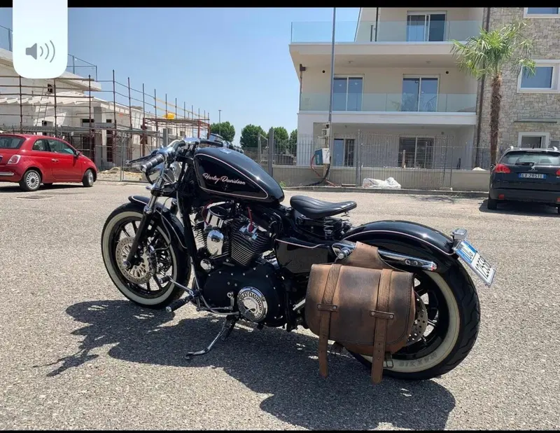 Harley-Davidson 883 R (2008 - 16) - XL 883R (3)