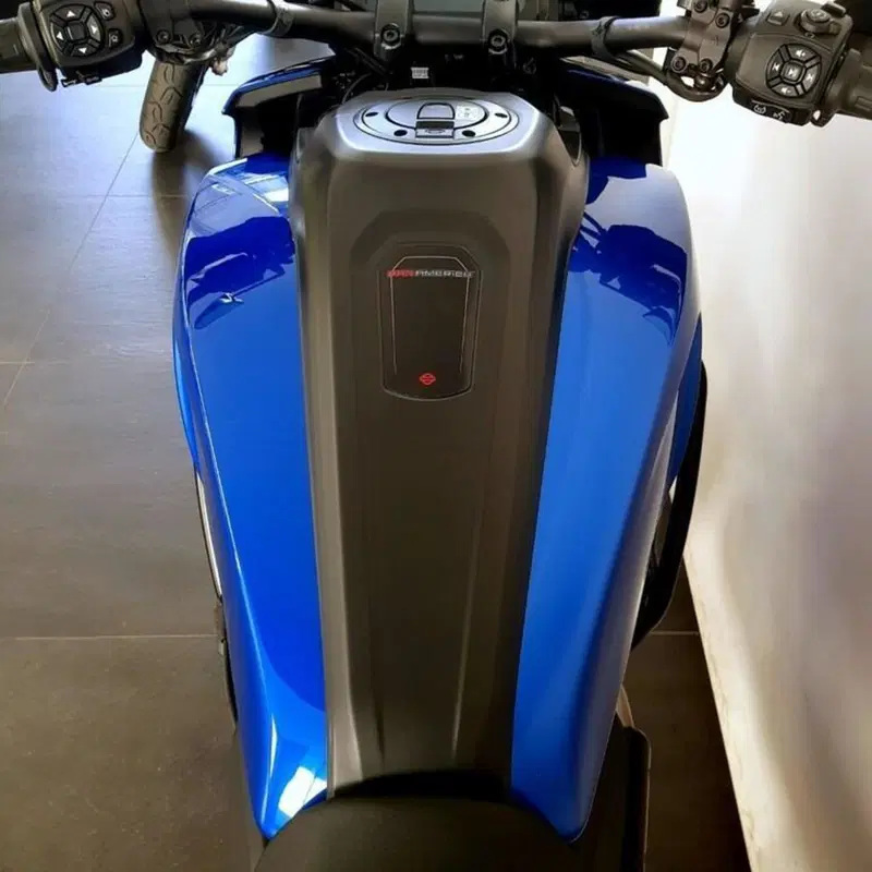 Harley-Davidson Pan America 1250 Special (2020 - 25) (5)