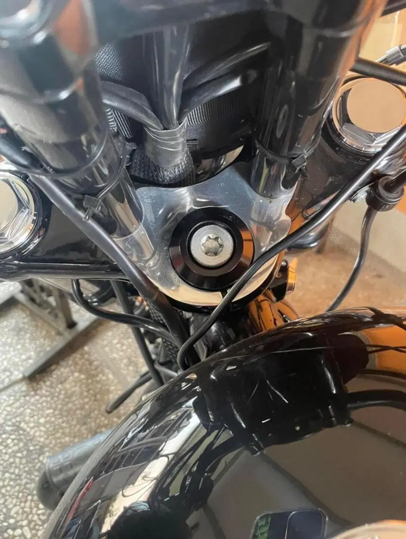 Harley-Davidson 1200 Forty-Eight (2016 - 20) (7)