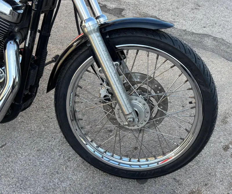 Harley-Davidson 1200 Custom (2004 - 06) - XL 1200C (12)