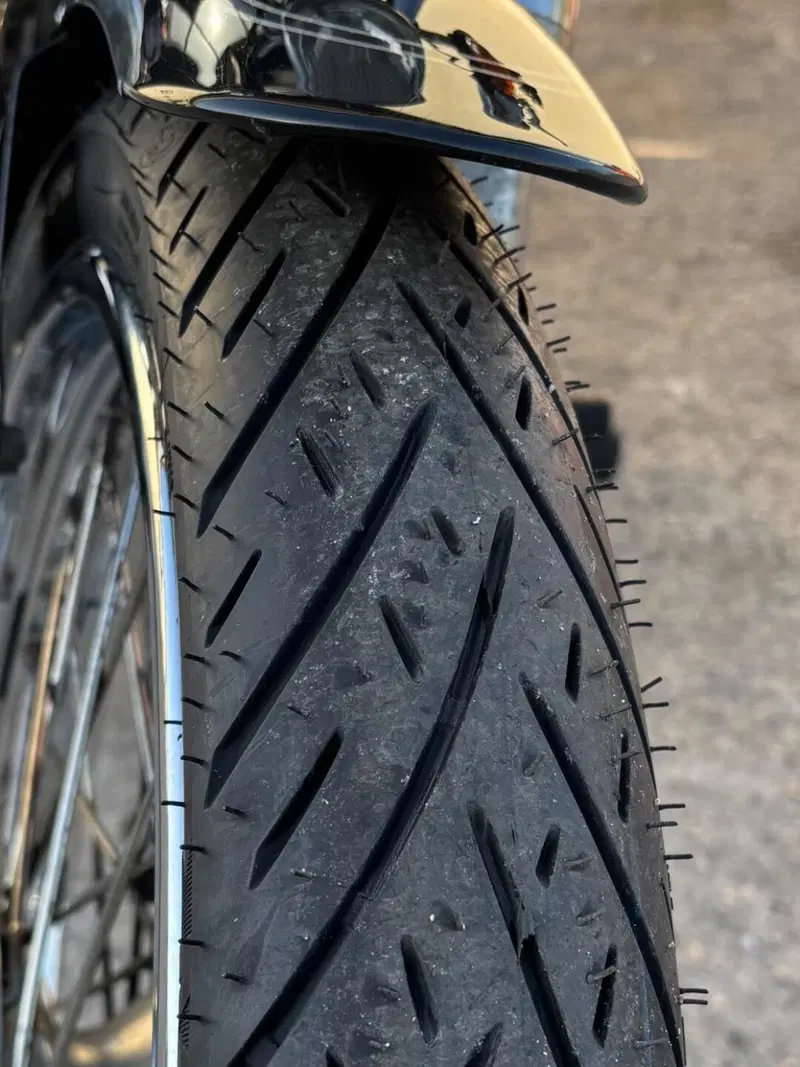 Harley-Davidson 1200 Custom (2004 - 06) - XL 1200C (13)