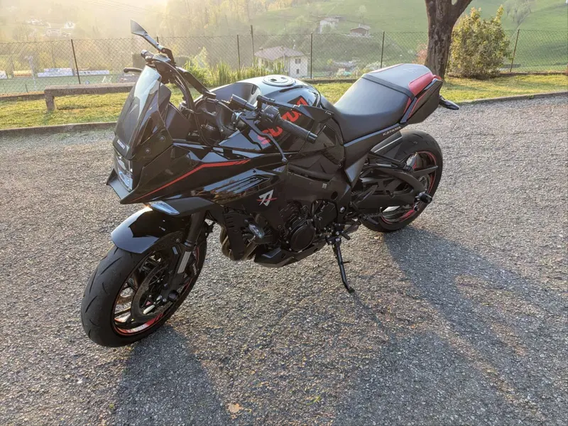 Suzuki Katana 1000 Jindachi (2019 - 20) (8)