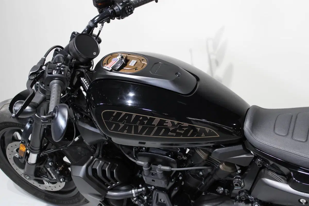 Harley-Davidson Sportster S (2022 - 24) (5)