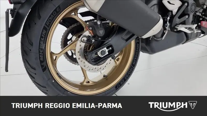 Triumph Trident 800 (2026) (15)
