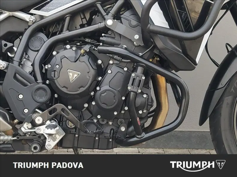 Triumph Tiger 900 GT (2024 - 26) (3)