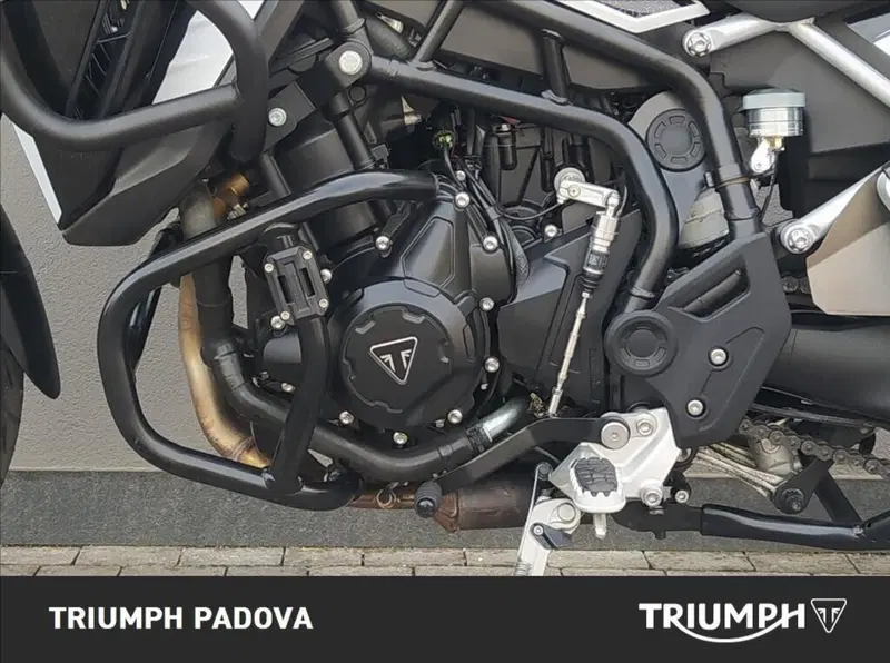Triumph Tiger 900 GT (2024 - 26) (8)