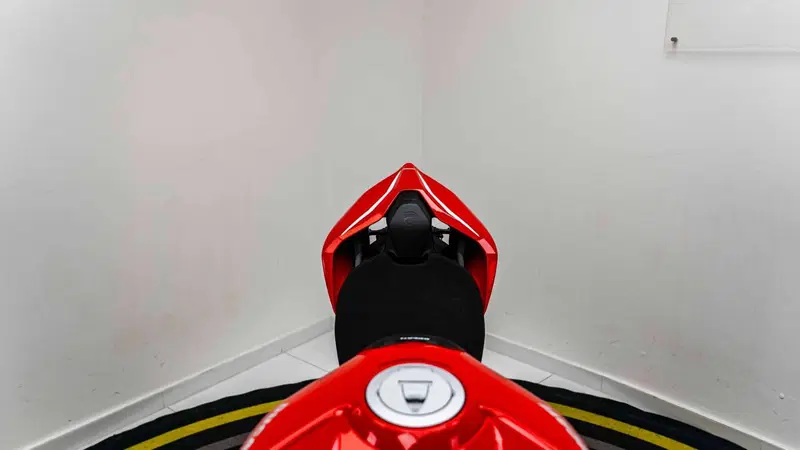 Ducati Panigale V4 1100 (2018 - 19) (11)