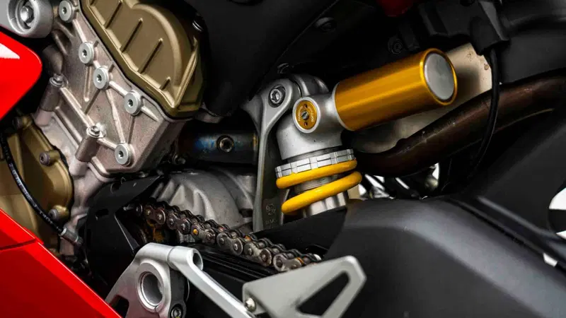 Ducati Panigale V4 1100 (2018 - 19) (13)