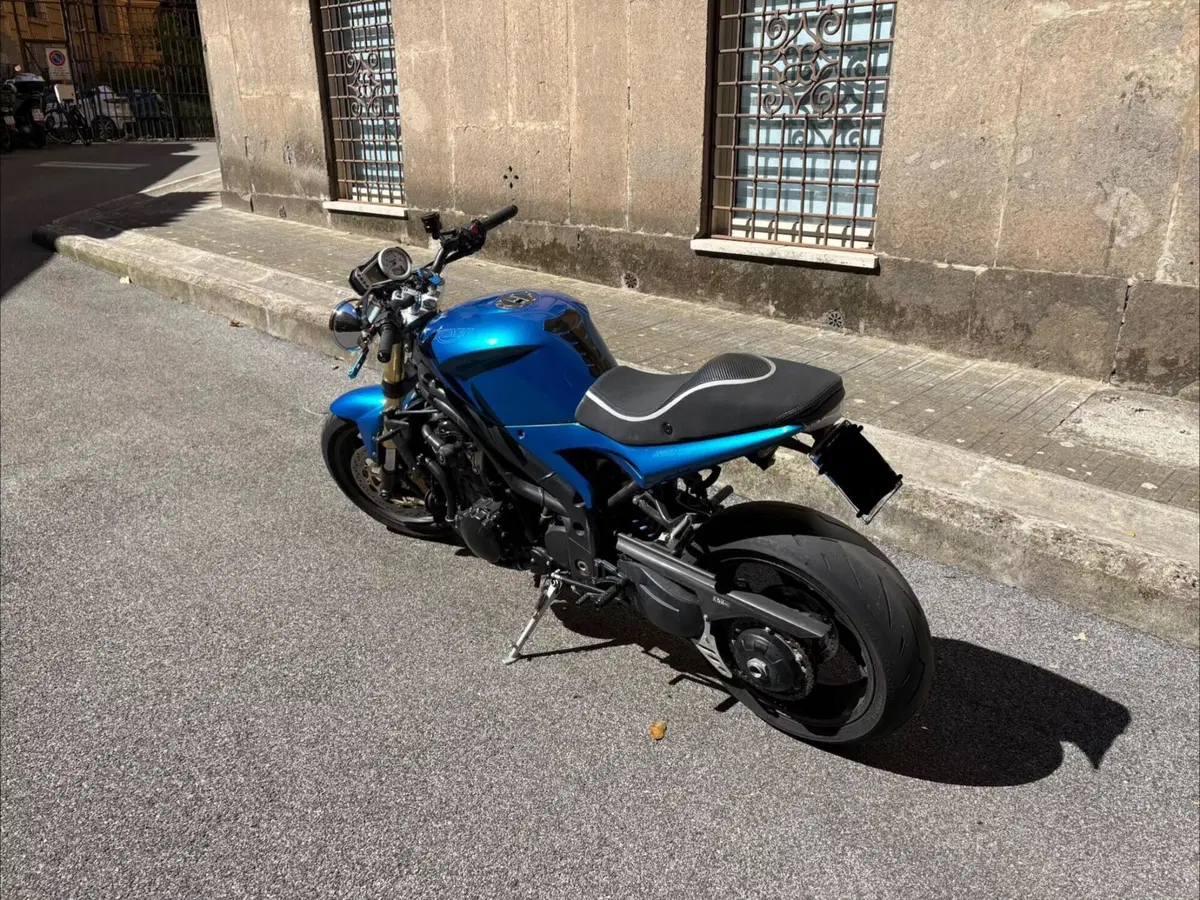 Triumph Speed Triple 1050 (2005 - 11) (3)