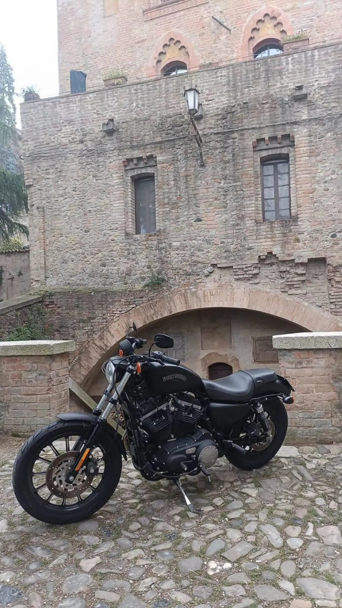 Harley-Davidson 883 Iron (2012 - 14) - XL 883N