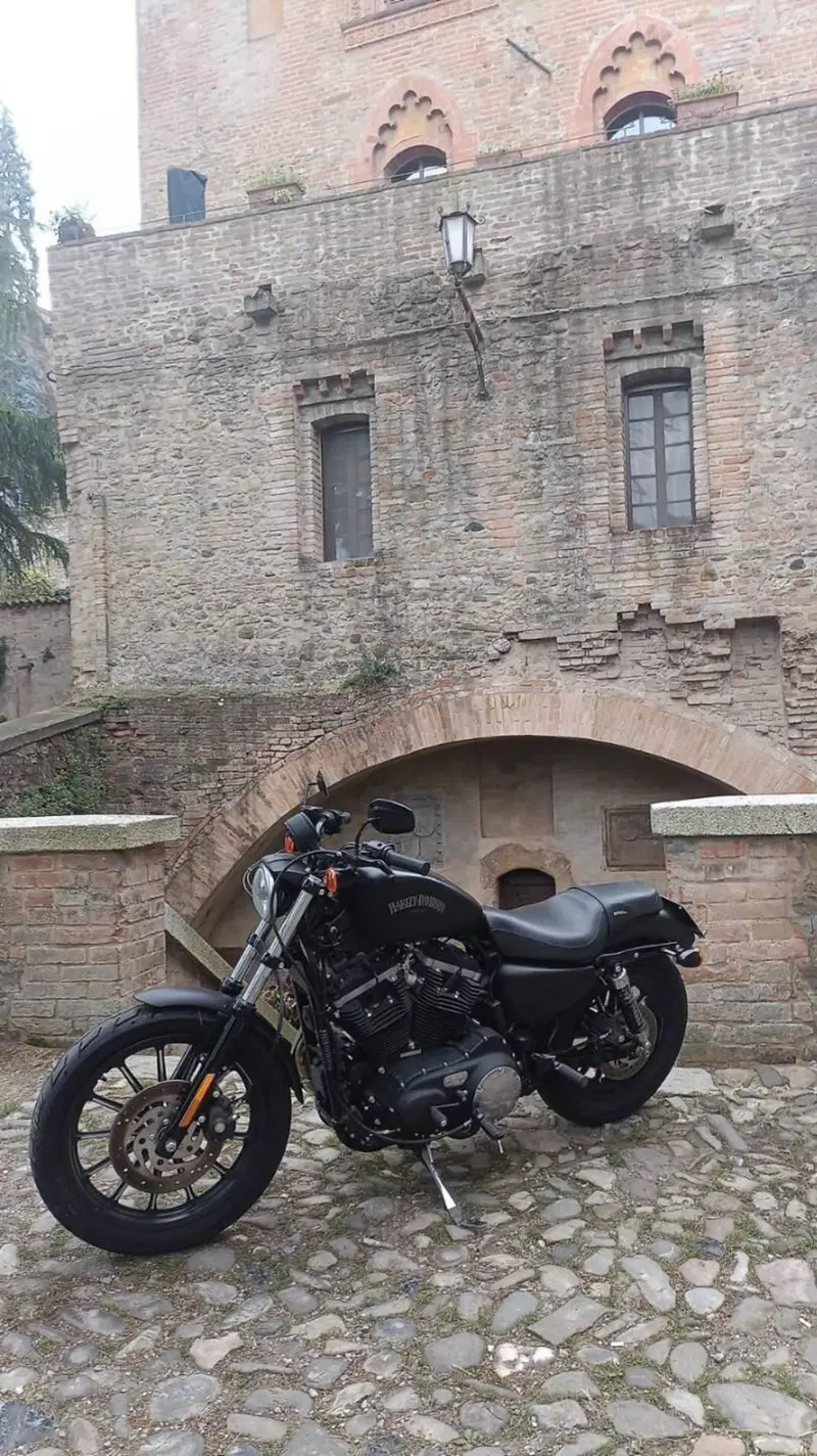 Harley-Davidson 883 Iron (2012 - 14) - XL 883N
