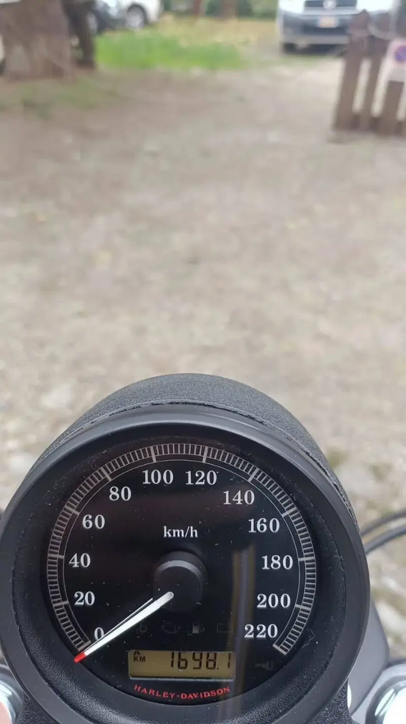 Harley-Davidson 883 Iron (2012 - 14) - XL 883N (2)