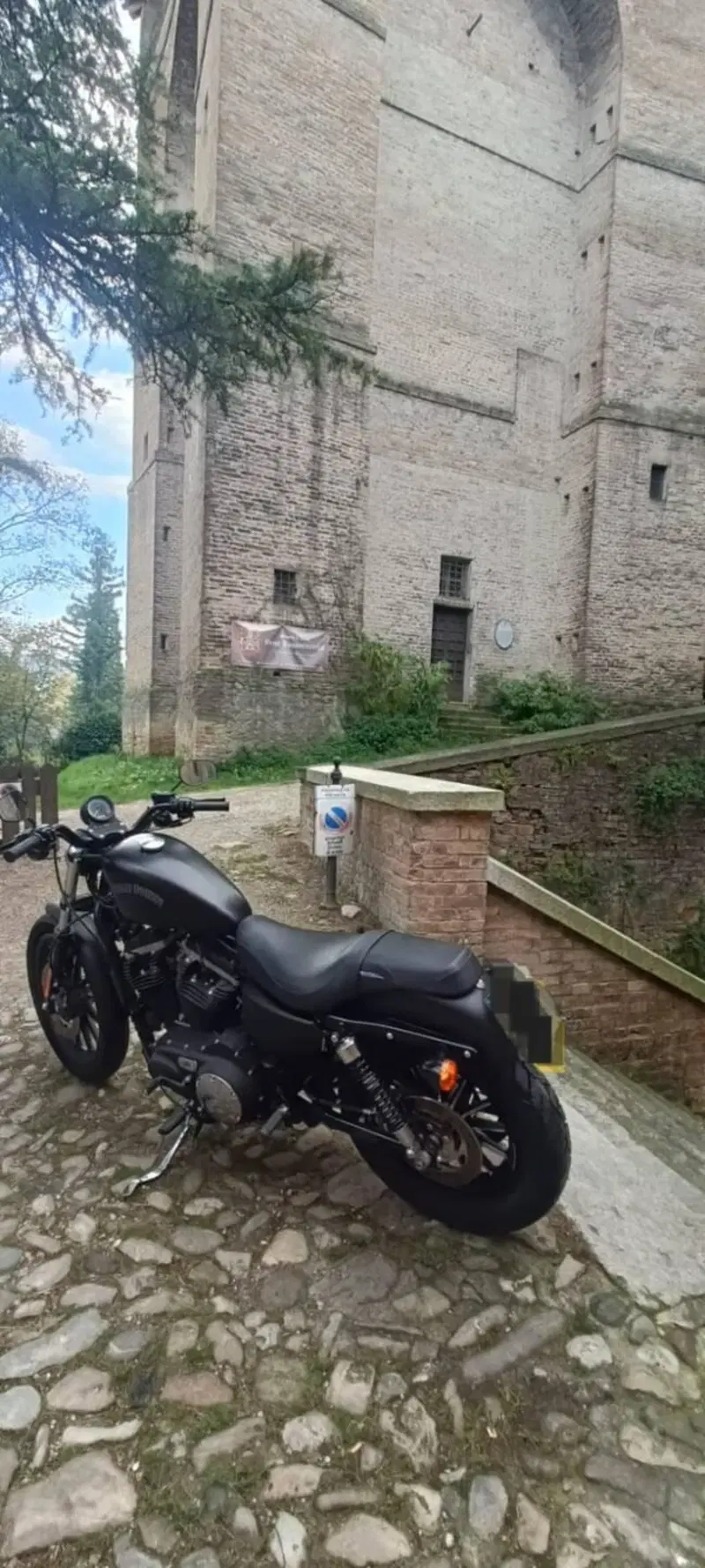 Harley-Davidson 883 Iron (2012 - 14) - XL 883N (5)