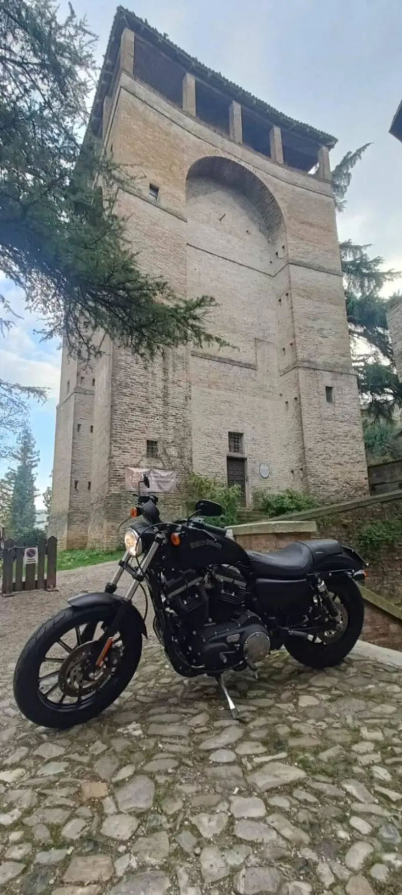 Harley-Davidson 883 Iron (2012 - 14) - XL 883N (11)