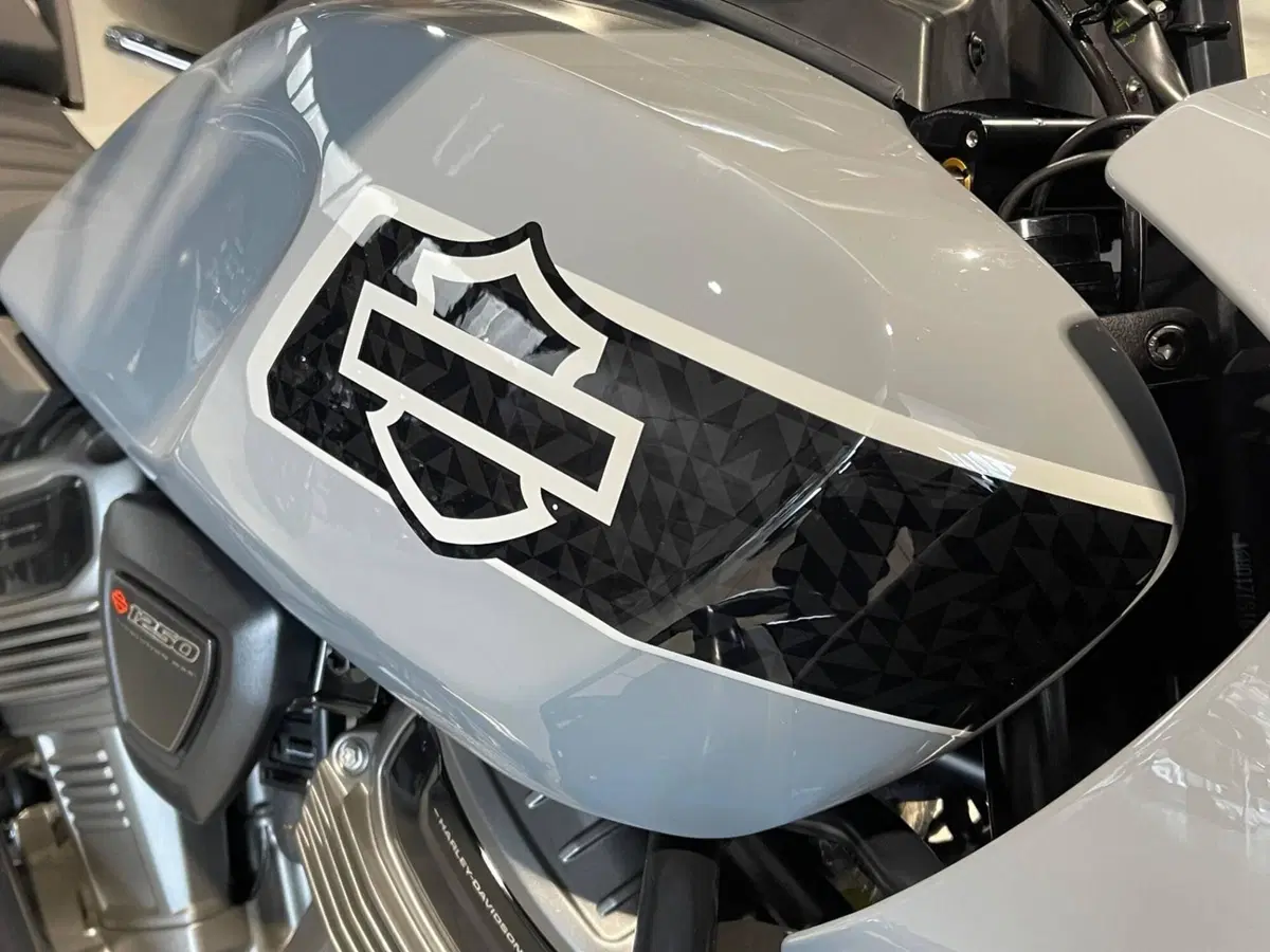 Harley-Davidson Pan America 1250 Special (2020 - 25) (3)