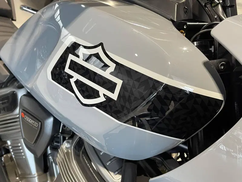 Harley-Davidson Pan America 1250 Special (2020 - 25) (3)