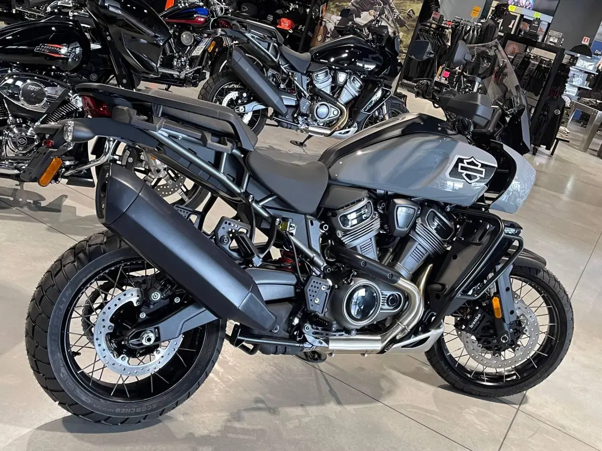 Harley-Davidson Pan America 1250 Special (2020 - 25) (5)