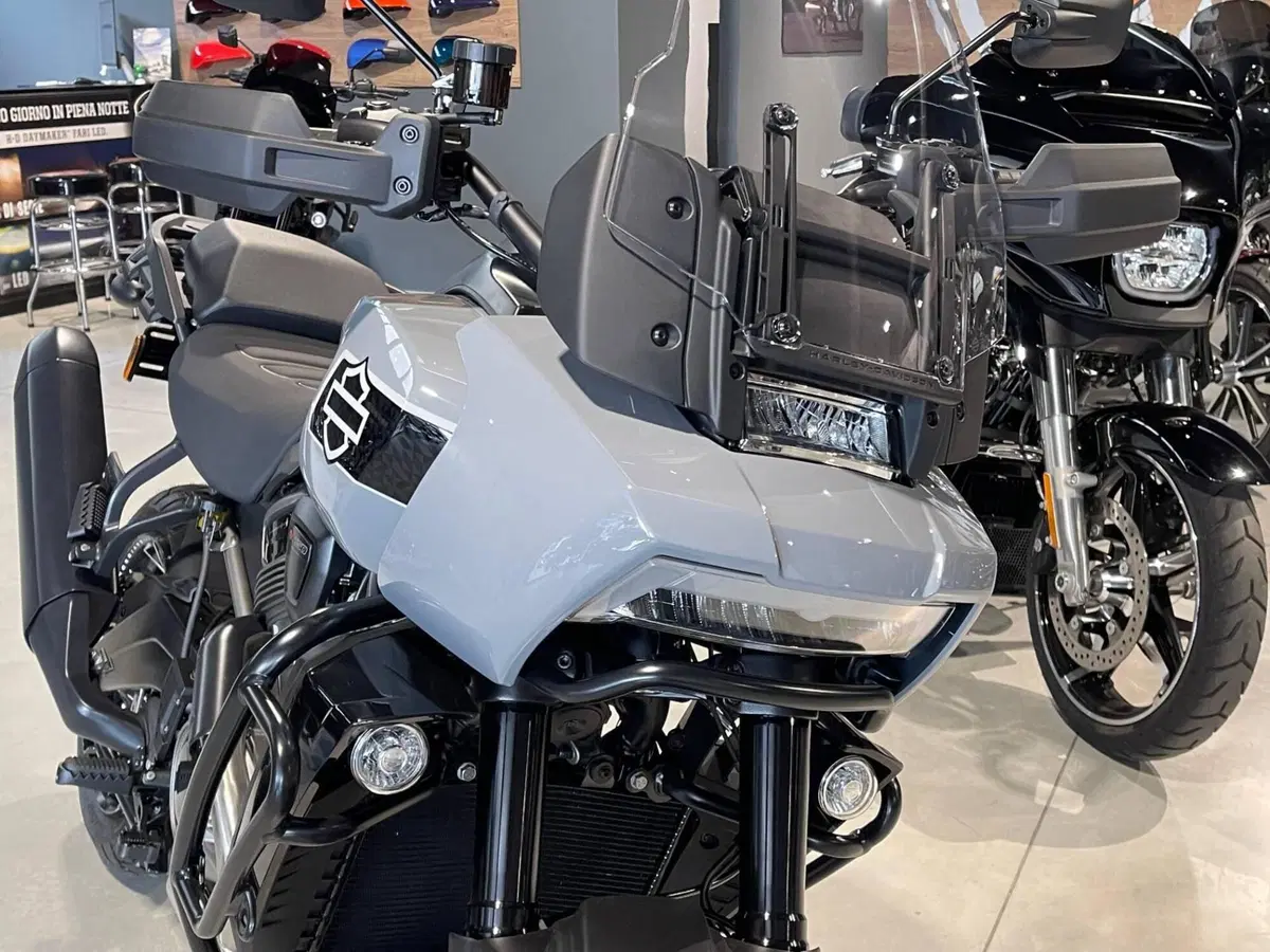 Harley-Davidson Pan America 1250 Special (2020 - 25) (7)