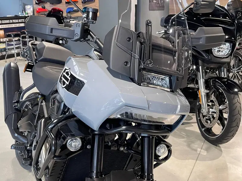 Harley-Davidson Pan America 1250 Special (2020 - 25) (7)