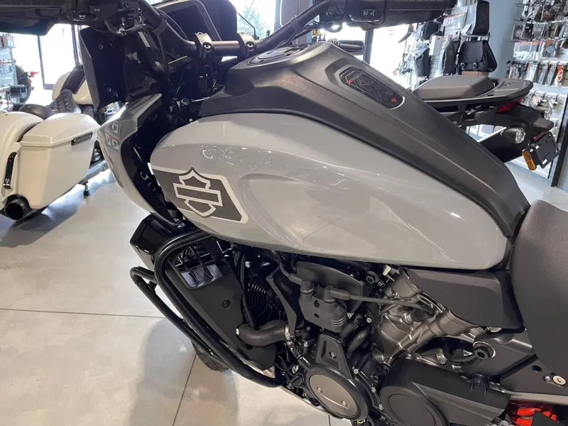 Harley-Davidson Pan America 1250 Special (2020 - 25) (8)