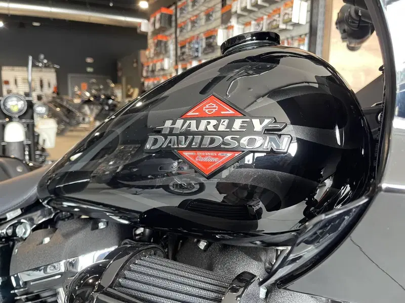 Harley-Davidson Low Rider ST (2025 - 26) (6)