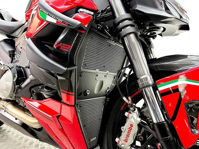 Ducati Streetfighter V2 (2022 - 24) (19)