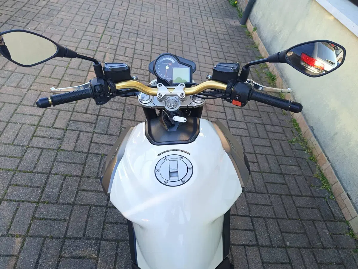Aprilia Shiver 750 ABS (2010 - 17) (10)