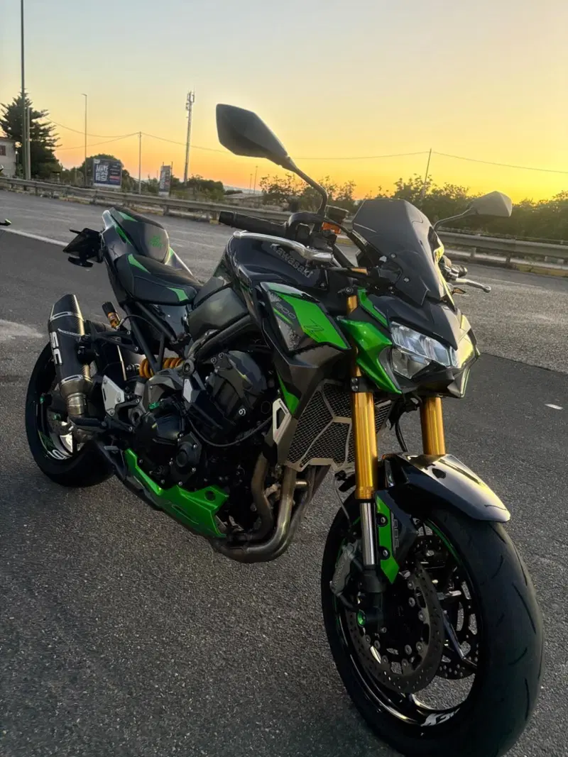 Kawasaki Z 900 SE Performance (2023 - 24)