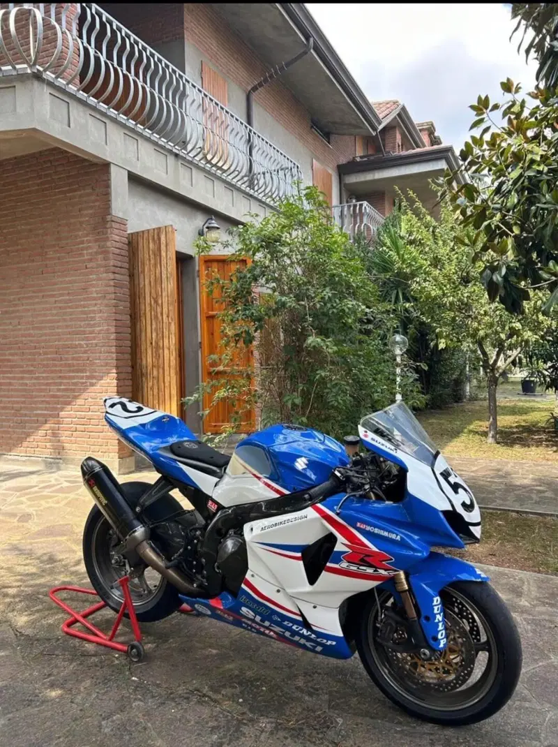 Suzuki GSX-R1000 (2009 - 11) (2)