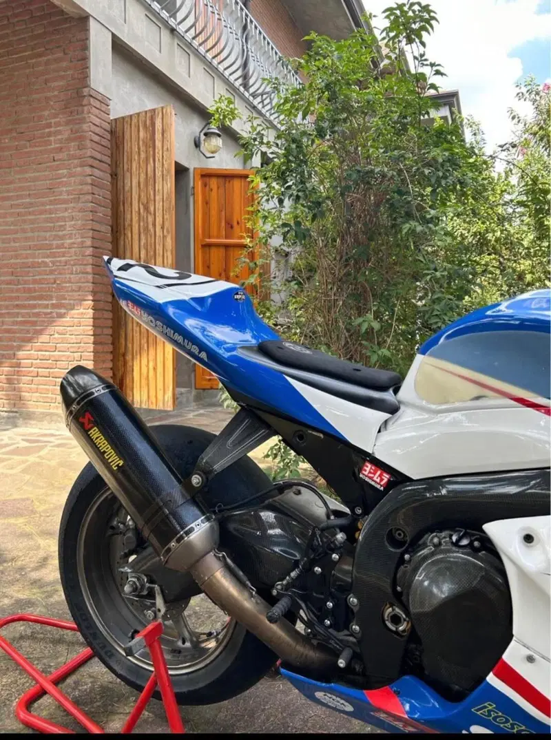 Suzuki GSX-R1000 (2009 - 11) (3)