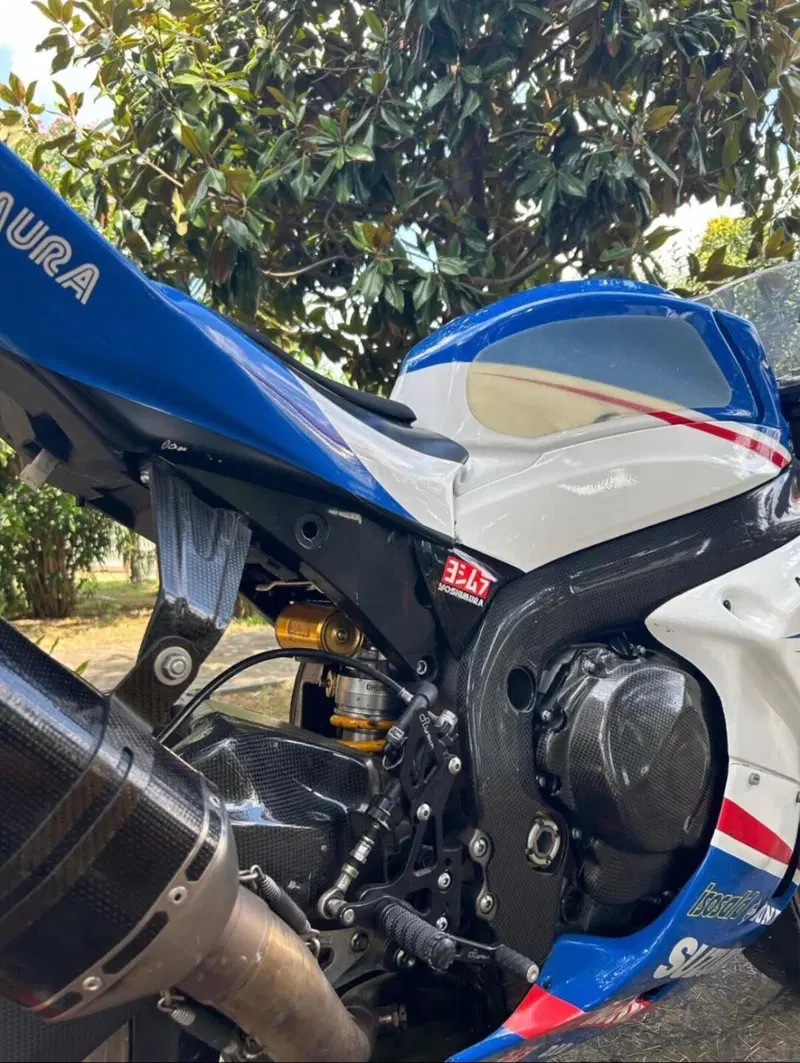 Suzuki GSX-R1000 (2009 - 11) (4)