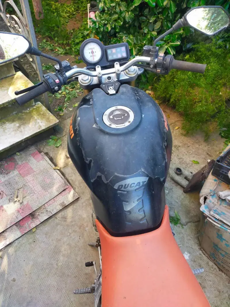 Ducati Monster 600 (1994 - 02) (5)