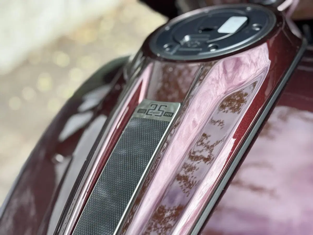 Harley-Davidson CVO Street Glide (2024) (13)