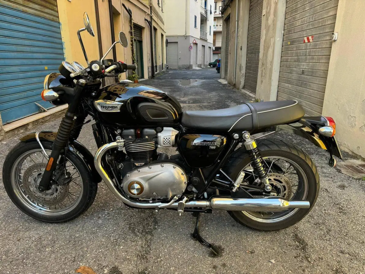 Triumph Bonneville T100 (2017 - 20) (5)