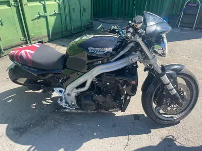 Triumph Speed Triple 955 (2002 - 04) usata