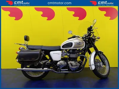 Triumph Bonneville T100 (2008 - 16) usata