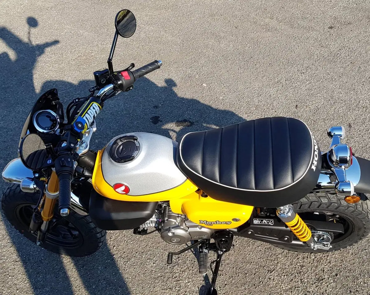 Honda Monkey 125 (2022 - 24) (12)
