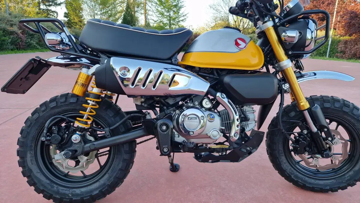 Honda Monkey 125 (2022 - 24) (2)
