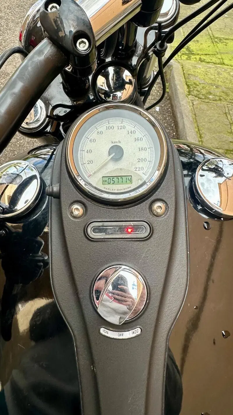 Harley-Davidson 1584 Wide Glide (2007 - 11) - FXDWG (9)