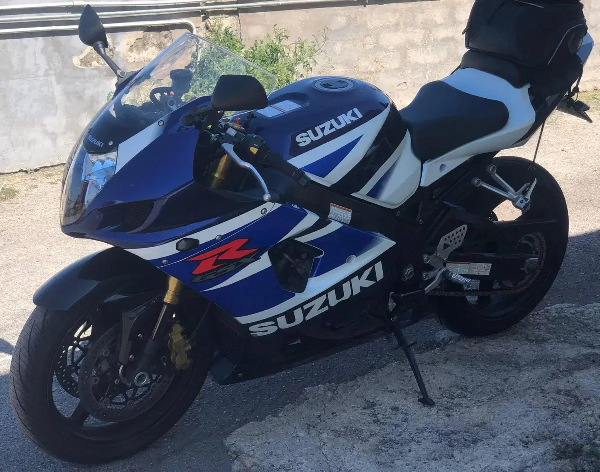 Suzuki GSX-R1000 (2003 - 04) (10)