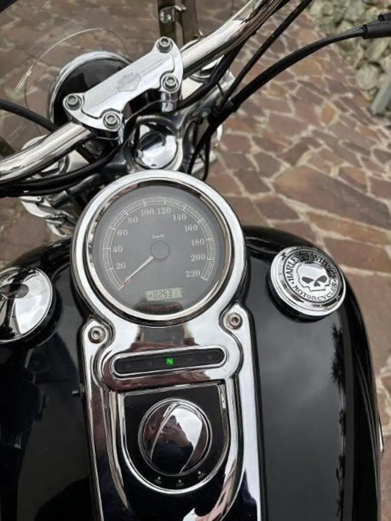 Harley-Davidson 1584 Wide Glide (2007 - 11) - FXDWG (8)