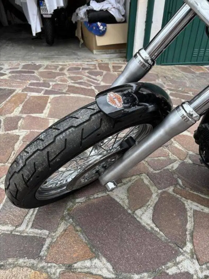 Harley-Davidson 1584 Wide Glide (2007 - 11) - FXDWG (9)