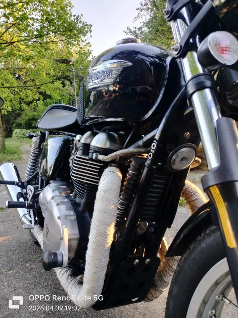Triumph Thruxton 900 (2004 - 15) (2)
