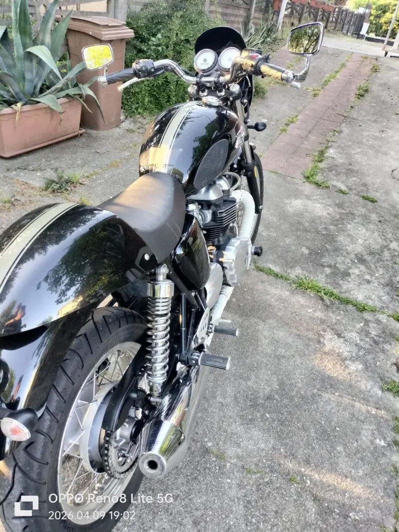 Triumph Thruxton 900 (2004 - 15) (4)