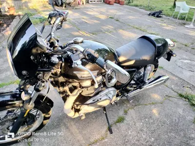 Triumph Thruxton 900 (2004 - 15) usata
