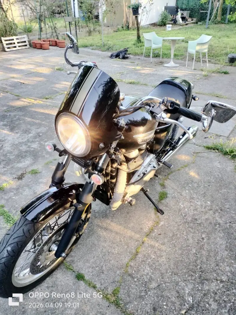 Triumph Thruxton 900 (2004 - 15) (6)