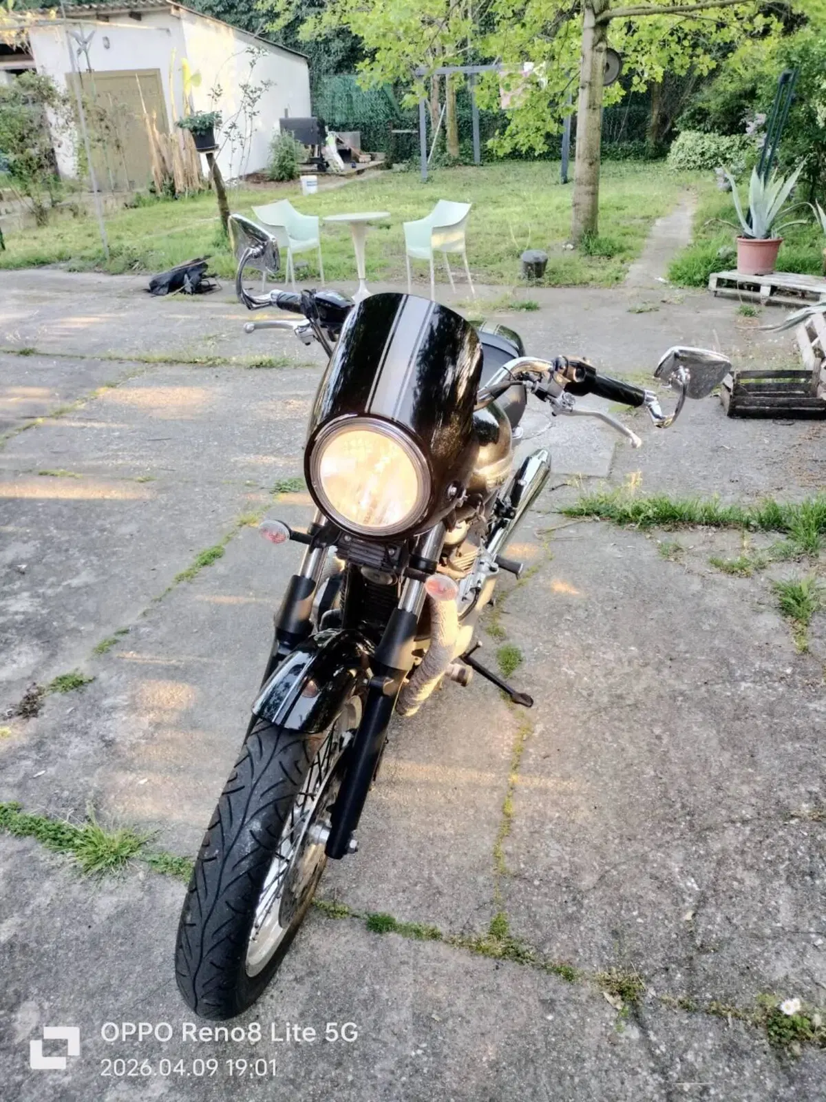Triumph Thruxton 900 (2004 - 15) (7)