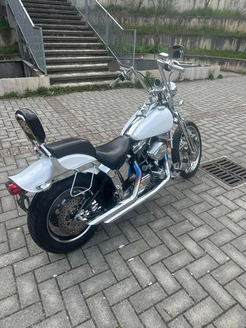 Harley-Davidson 1340 Springer (1990 - 98) - FXSTS (2)