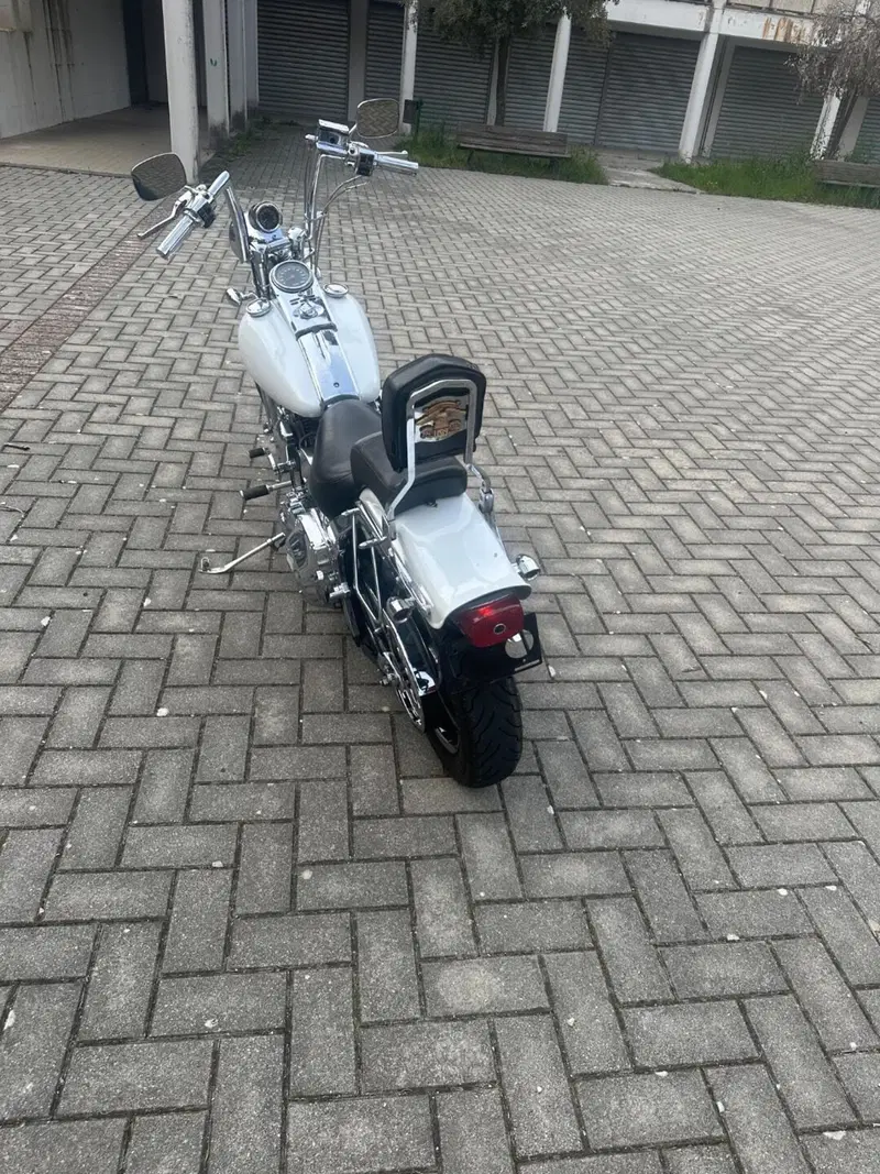Harley-Davidson 1340 Springer (1990 - 98) - FXSTS (3)