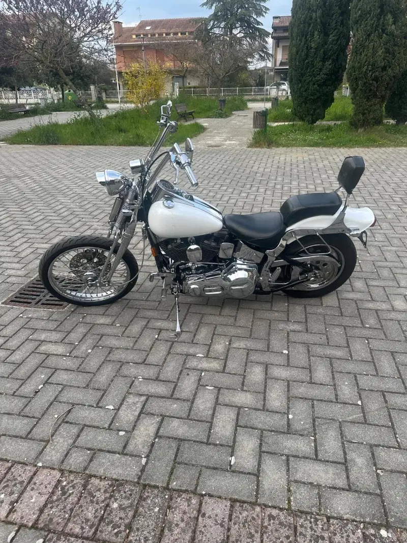 Harley-Davidson 1340 Springer (1990 - 98) - FXSTS (4)